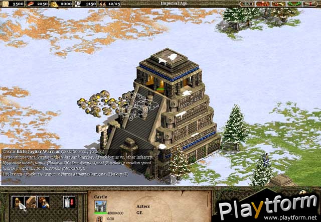 Age of Empires II: The Conquerors Expansion (PC)