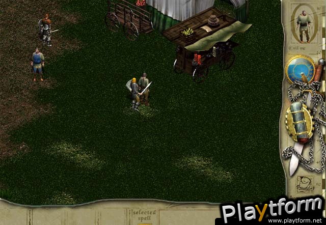 Siege of Avalon (PC)