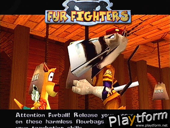 Fur Fighters (Dreamcast)