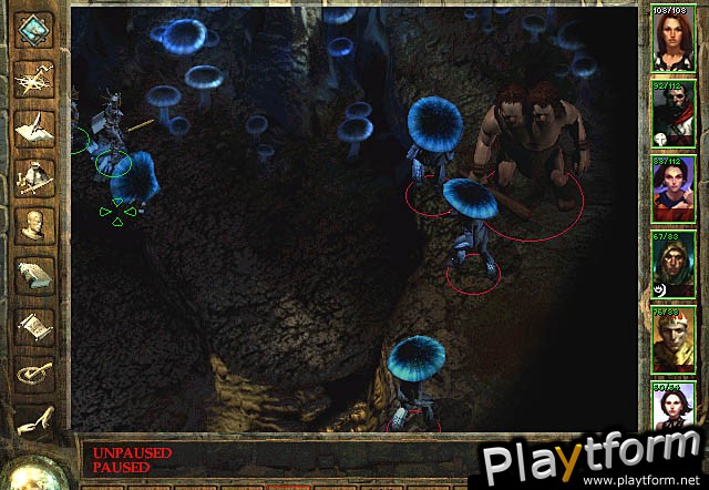 Icewind Dale (PC)