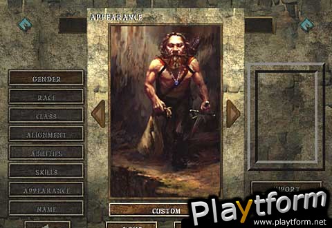 Icewind Dale (PC)