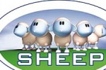 Sheep (PC)