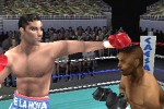 Knockout Kings 2001 (PlayStation)