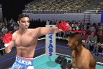 Knockout Kings 2001 (PlayStation)