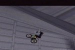 Dave Mirra Freestyle BMX (PlayStation)