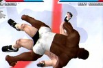 Ultimate Fighting Championship (Dreamcast)