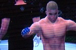 Ultimate Fighting Championship (Dreamcast)