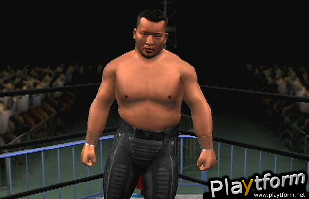 All Star Pro-Wrestling (PlayStation 2)