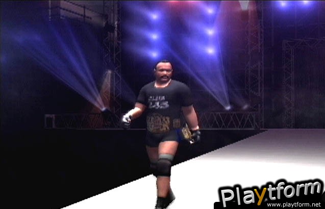 All Star Pro-Wrestling (PlayStation 2)