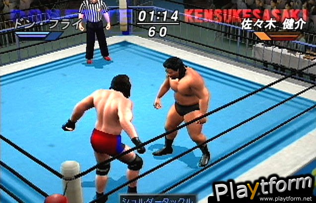 All Star Pro-Wrestling (PlayStation 2)