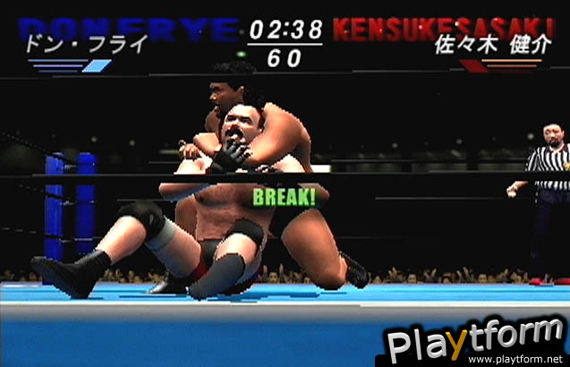 All Star Pro-Wrestling (PlayStation 2)