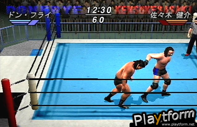 All Star Pro-Wrestling (PlayStation 2)