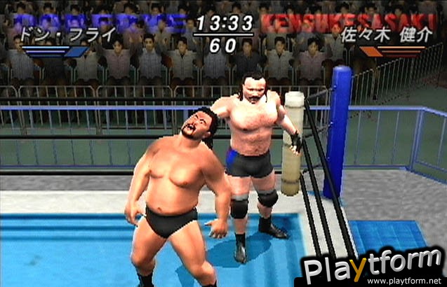 All Star Pro-Wrestling (PlayStation 2)