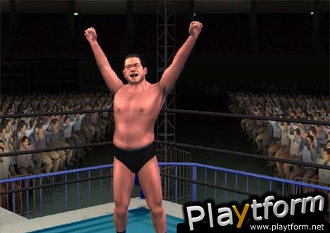 All Star Pro-Wrestling (PlayStation 2)