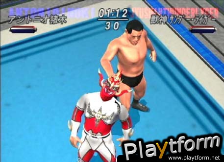 All Star Pro-Wrestling (PlayStation 2)