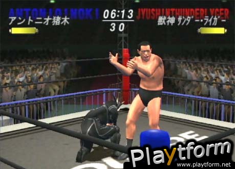 All Star Pro-Wrestling (PlayStation 2)