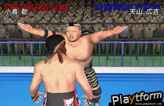 All Star Pro-Wrestling (PlayStation 2)