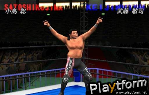 All Star Pro-Wrestling (PlayStation 2)