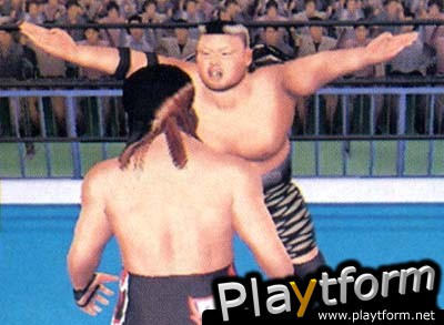 All Star Pro-Wrestling (PlayStation 2)