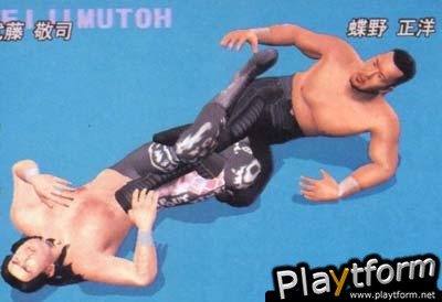 All Star Pro-Wrestling (PlayStation 2)