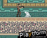 Tomb Raider (Game Boy Color)