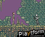 Tomb Raider (Game Boy Color)