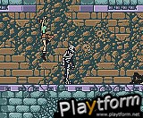 Tomb Raider (Game Boy Color)