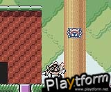 Wario Land 3 (Game Boy Color)