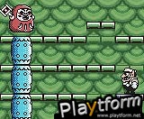 Wario Land 3 (Game Boy Color)