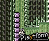 Wario Land 3 (Game Boy Color)