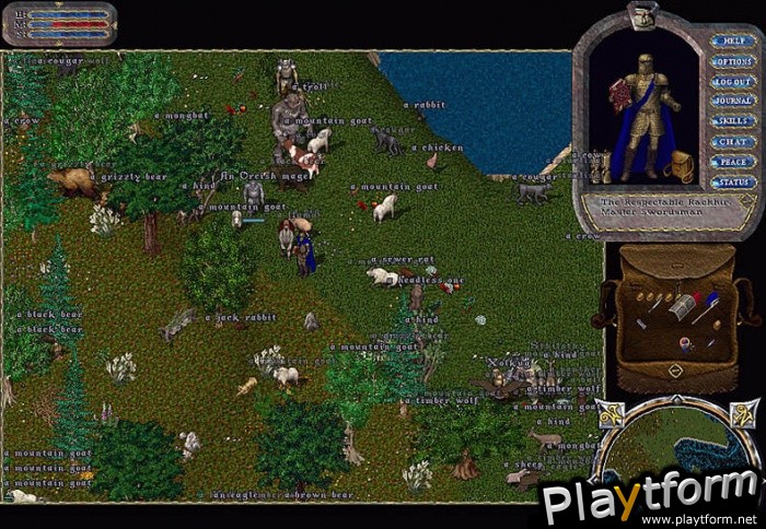 Ultima Online:  Renaissance (PC)