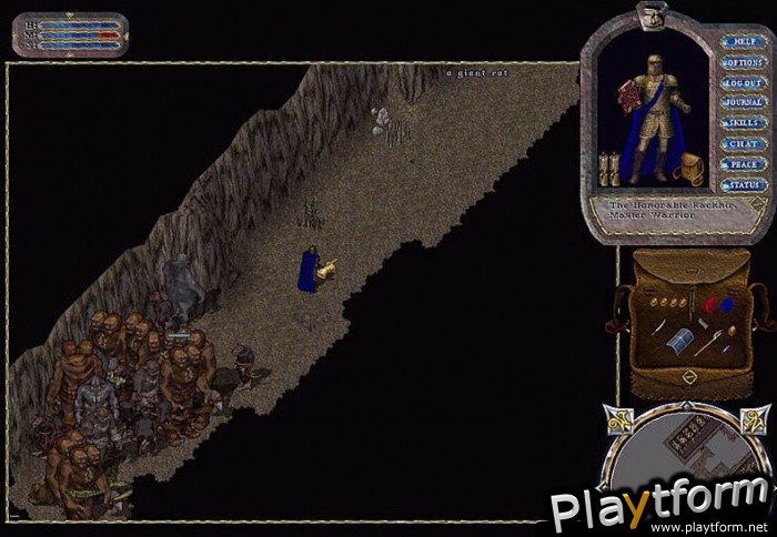 Ultima Online:  Renaissance (PC)