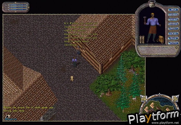 Ultima Online:  Renaissance (PC)