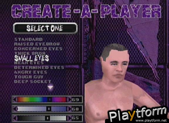 ECW Hardcore Revolution (Dreamcast)