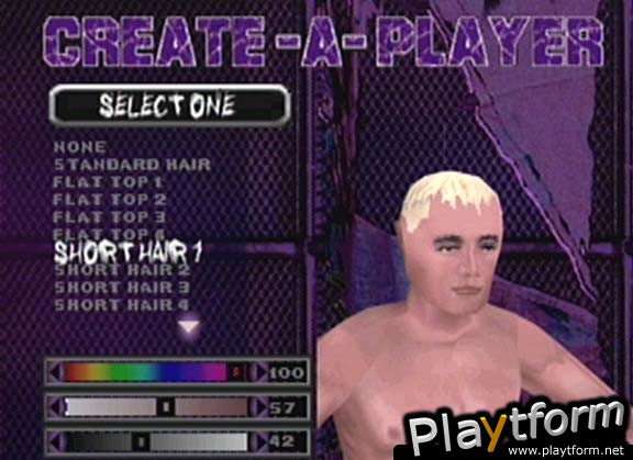 ECW Hardcore Revolution (Dreamcast)