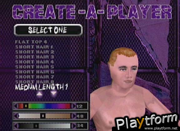 ECW Hardcore Revolution (Dreamcast)