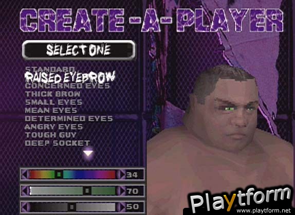 ECW Hardcore Revolution (PlayStation)