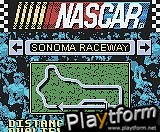 NASCAR Challenge (Game Boy Color)