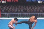 All Star Pro-Wrestling (PlayStation 2)