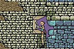 Tomb Raider (Game Boy Color)