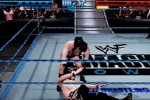 WWF SmackDown! (PlayStation)