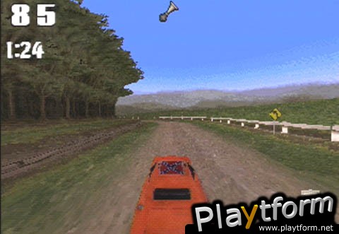 The Dukes of Hazzard: Racing for Home (PlayStation)