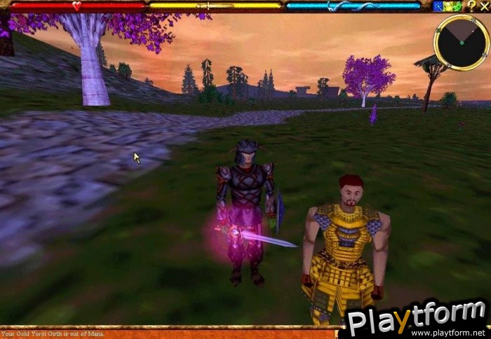 Asheron's Call (PC)