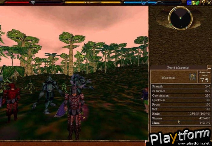 Asheron's Call (PC)