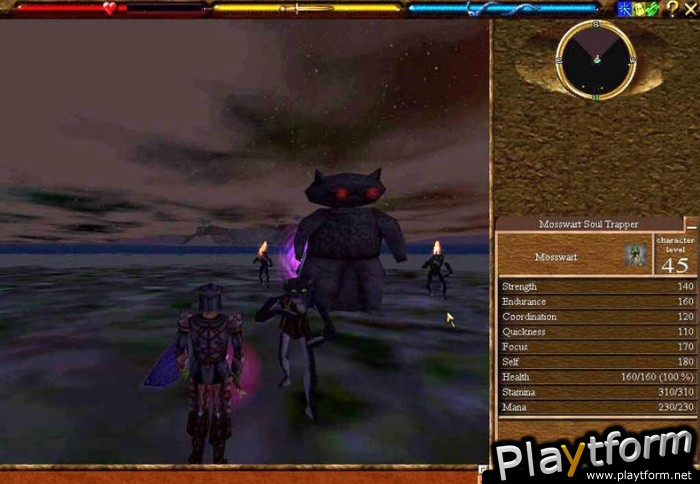 Asheron's Call (PC)