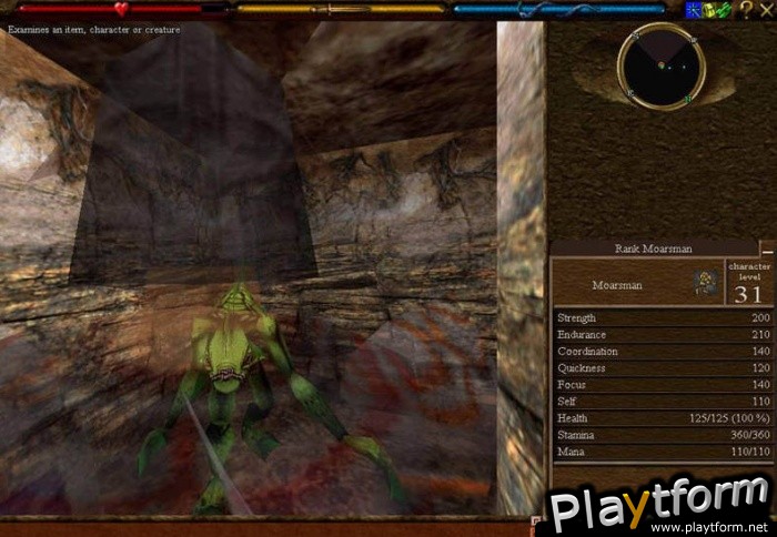 Asheron's Call (PC)