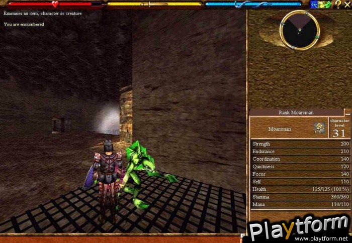 Asheron's Call (PC)