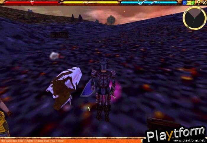 Asheron's Call (PC)