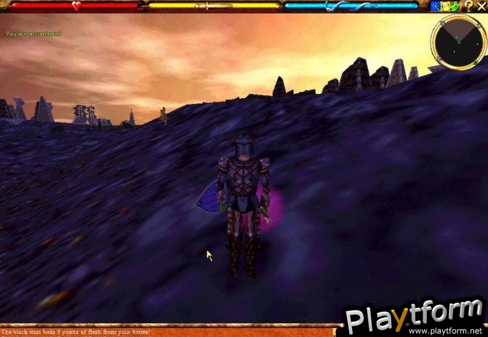 Asheron's Call (PC)