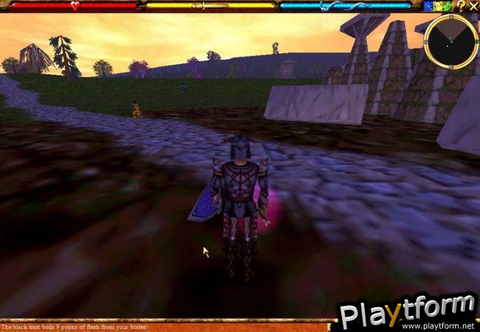 Asheron's Call (PC)